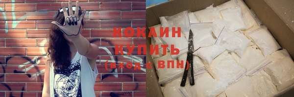 мет Ладушкин