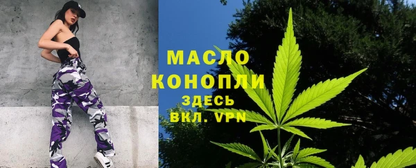 мет Ладушкин