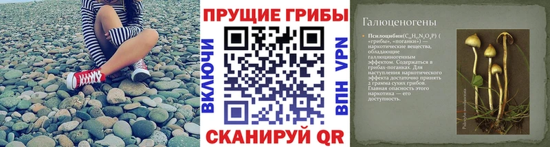 Галлюциногенные грибы ЛСД Мосальск